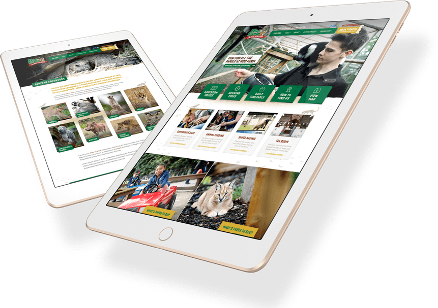 custom website design and development by isev